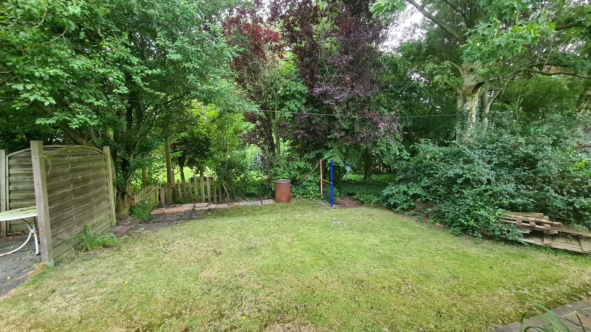 Garten des Friesenhaus1822 mit Rasen und Bäumen